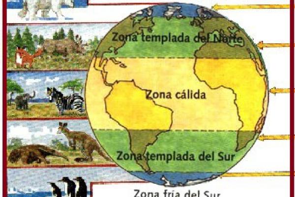 Zonas bioclimáticas. Imagen libre.