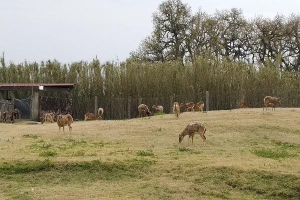 Parque