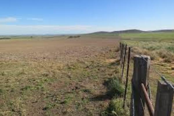 Alambramiento de los campos