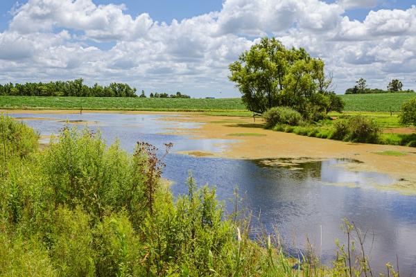 Paisaje de Uruguay, agua, arbustos, árboles, cielo. Imagen libre de derechos de autor de Pixabay. 