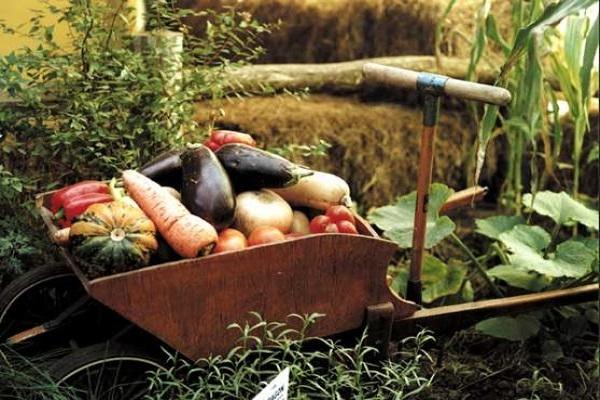 Carretilla con verduras