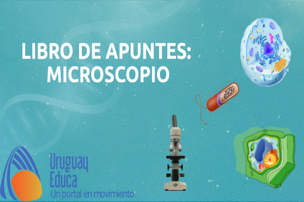 Microscopio