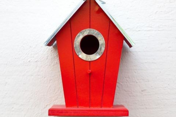 Imagen casa de pájaros 