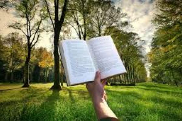 libros