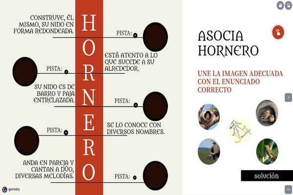  Imágenes de horneros en distintas ubicaciones y enunciados que los describen brevemente.