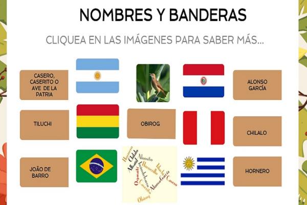 Banderas de Argentina, Bolivia, Brasil, Paraguay, Perú, Uruguay y los distintos nombres del hornero en esos países.