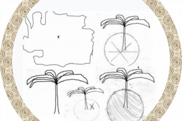 circunferencias