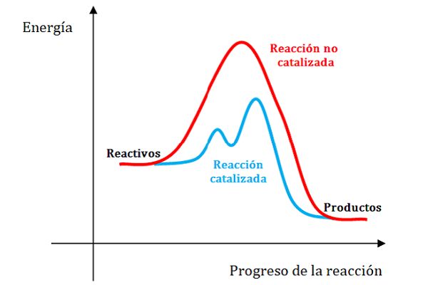 Representación gráfica de la energía de una reacción sin catalizar y catalizada.