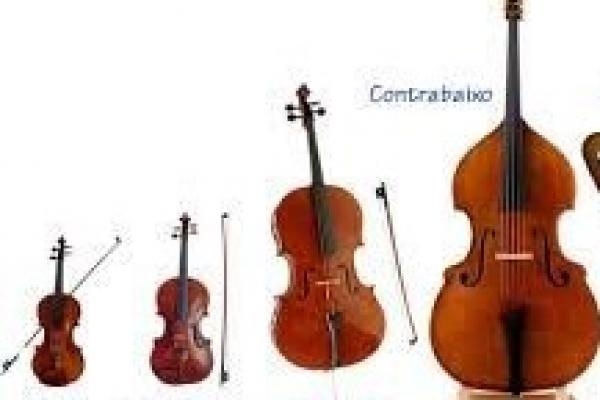 cuarteto de cuerda