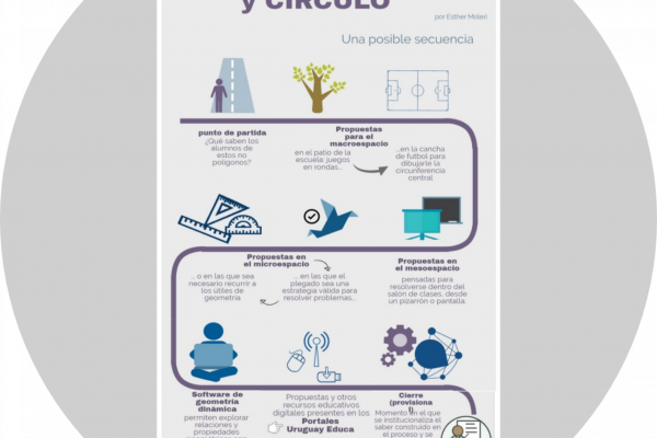 imagen de la infografía