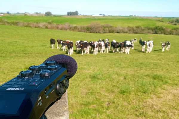 imagen que muesta un paisaje rural del Uruguay y el grabador de audio que registra sus sonidos