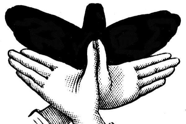 Ilustración de dos manos con forma de mariposa y su sombra generada