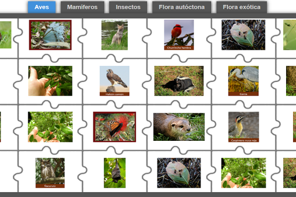 captura del puzzle