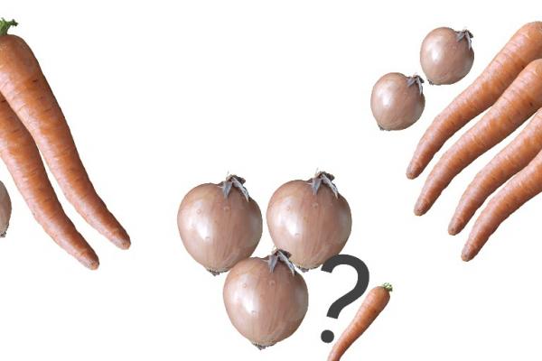 cebollas y zanahorias