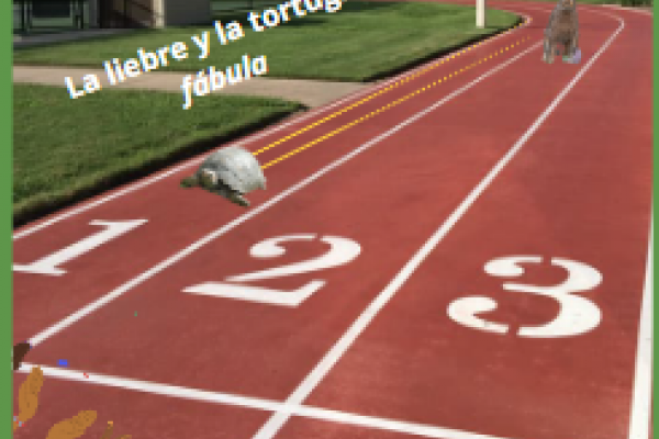 CARRERA ENTRE TORTUGA Y LIEBRE