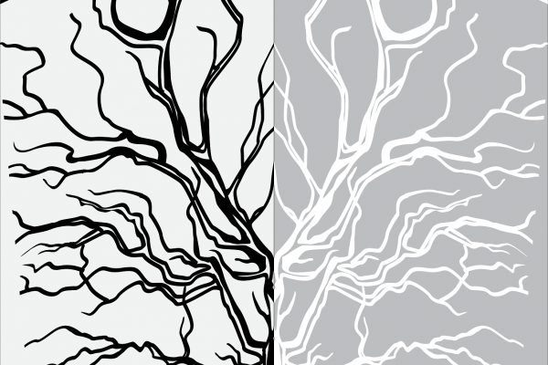 Raices , vectores, árbol
