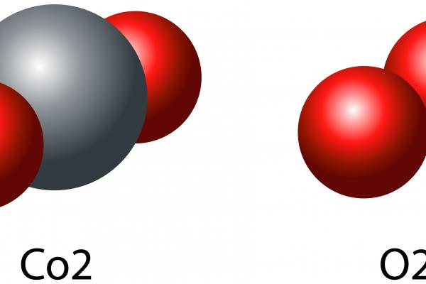 Moléculas de Co2 y O2