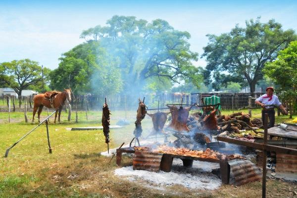 Imagen de campo