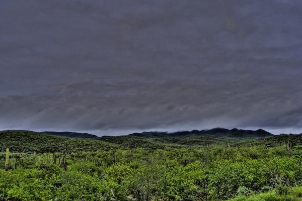Así luce la tierra desértica después de las lluvias de la depresión