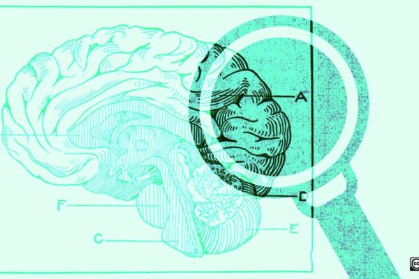 Sobre un fondo verde como marca de agua se encuentra el dibujo de un cerebro, a la derecha de este una lupa aumenta una esquina del cerebro atenuándose el color.