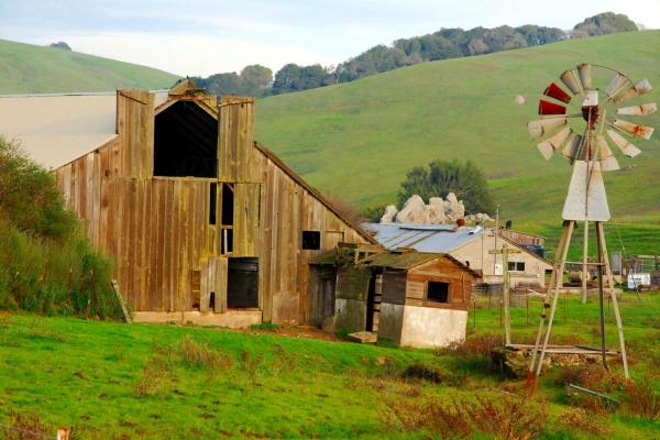 Fotografía de una granja con paredes de madera, un molino, en un entorno verde y árboles a lo lejos. 