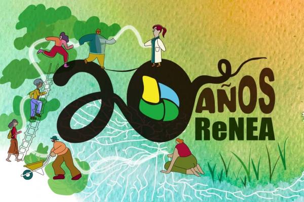 20 años de la RENEA