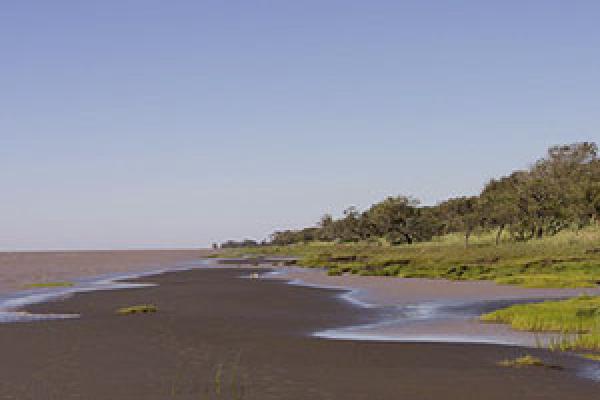 El primero en el Río de la Plata: Juan Díaz de Solís