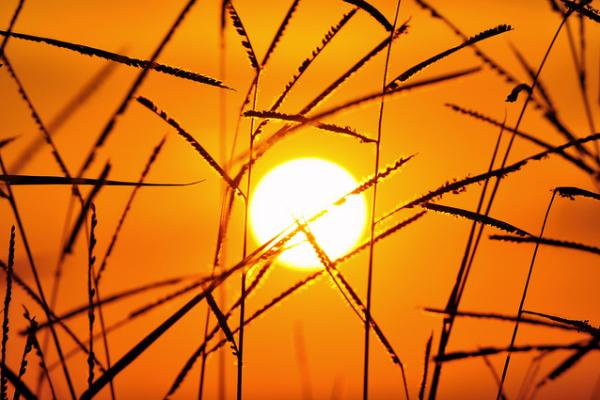 La energía del Sol