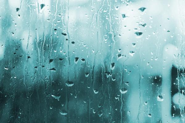 El agua: un bien de todos