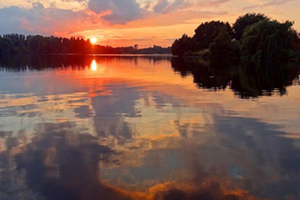 Una bacteria veranea en nuestras aguas: Vibrio vulnificus