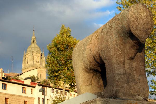 Curaduría: Lazarillo de Tormes