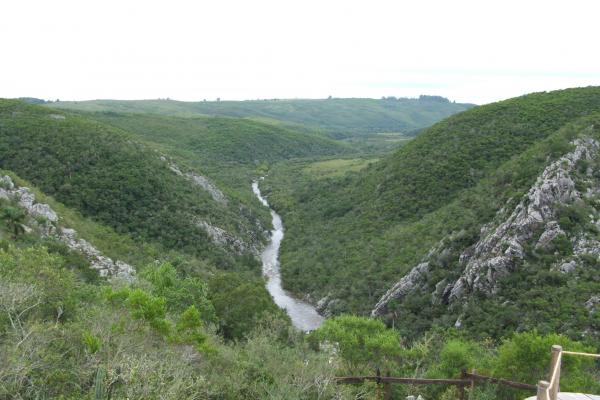La deriva continental