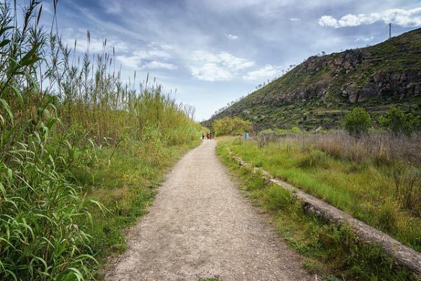 Un largo camino hacia la Constitución de 1830