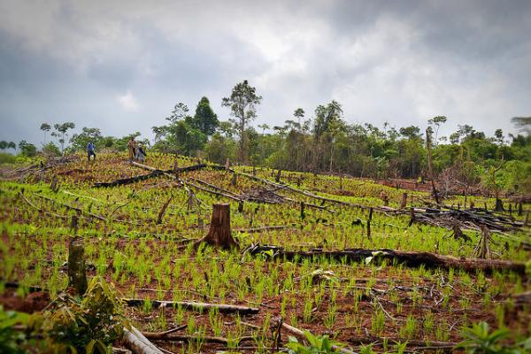 Uruguay productivo: producción agrícola