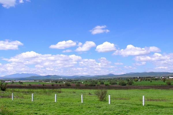 ¿Urbano o rural?