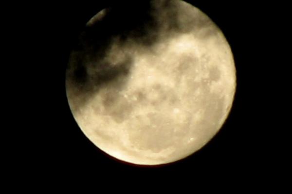 La Luna y los amigos