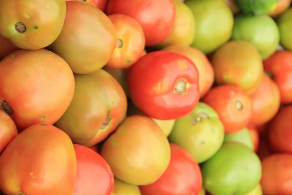 El deportista y la alimentación