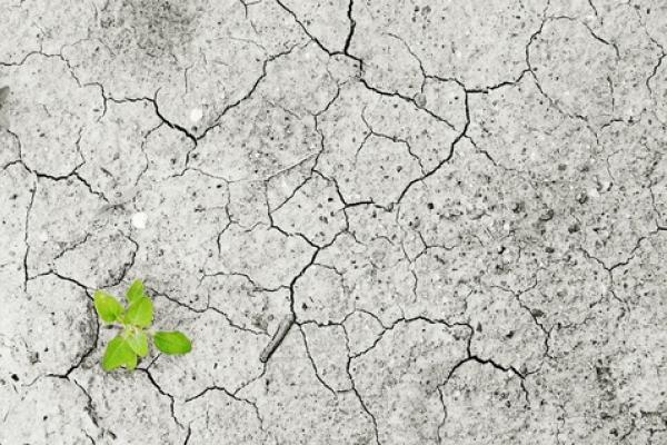 Cambio climático, un tema para pensar