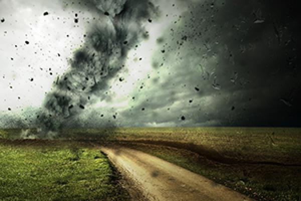 El cambio climático en lo cotidiano