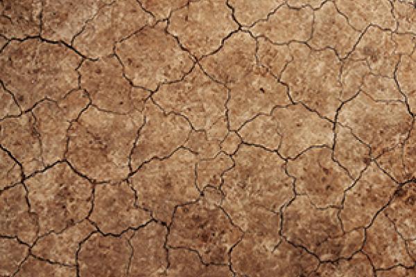 La Tierra, evolución continua