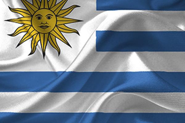 Nueve franjas y un sol