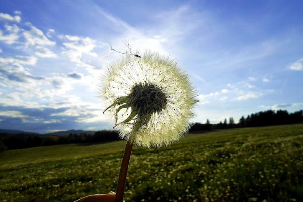 Visible lo invisible: el Aire