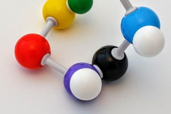 Ciclo Biogeoquímico: ciclo del Carbono