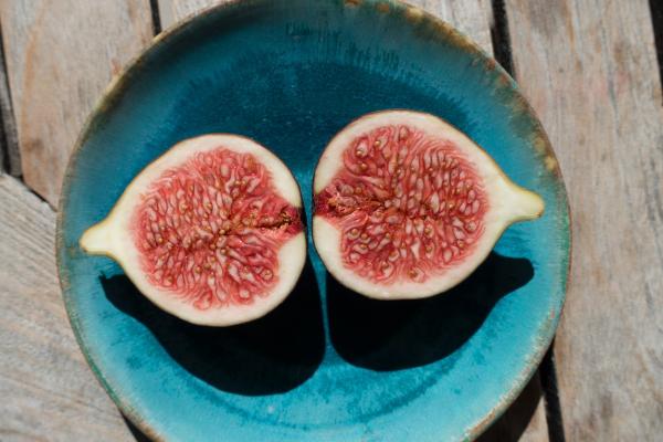 ¿Qué ocurre en el aparato digestivo?