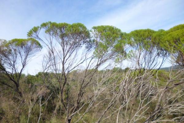Un parque natural e histórico