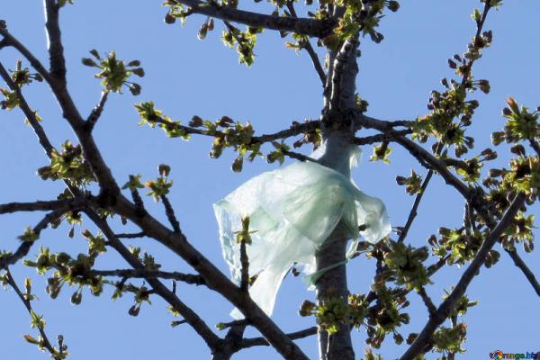 Uruguay natural: libre de bolsas de plástico II