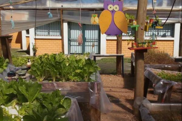 Una huerta: la alternativa