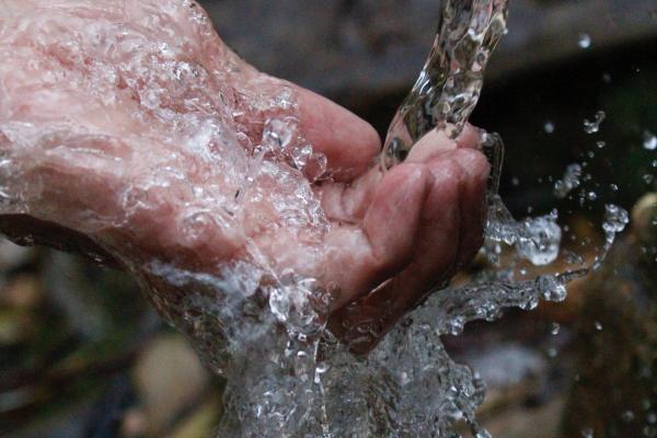 Una forma de prevenir: lavado de manos