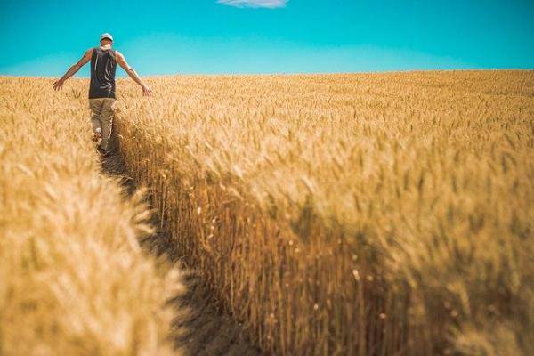 Año Internacional de la Sanidad Vegetal: un tema que nos compete a todos