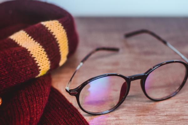 El mágico mundo de Harry Potter: relaciones entre cine y literatura